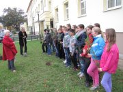 drzewka pamieci posadzone 2
